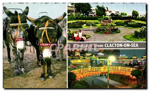 Cartes postales Greetings From Clacton On Sea Beach Donkeys The Sunken Gardens The Venetian Bridge by Night