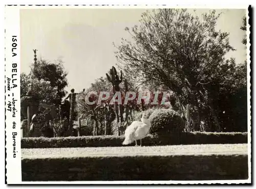 Ansichtskarte AK Isola Bella Jardins des Borromees Annee 1957