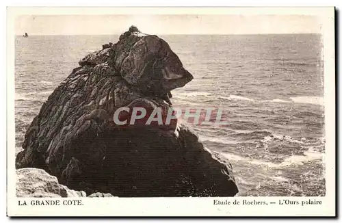 Cartes postales La Grande Cote Etude de Rochers L Ours polaire