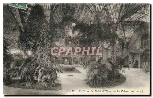 Cartes postales Pau Le Palais d Hiver Le Palmarium