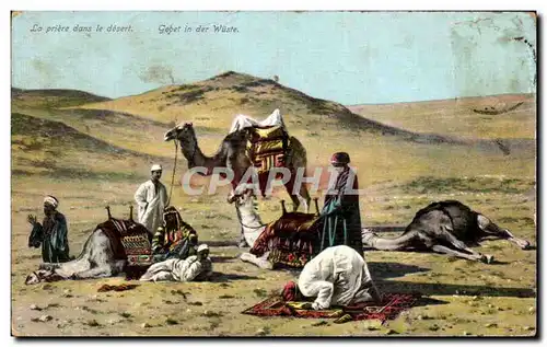 Cartes postales La priere dans le desert Gebet in der Wuste Chameau Camel Maroc