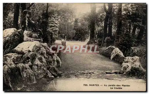 Ansichtskarte AK Nantes Au Jardin des Plantes La Coulee chamois