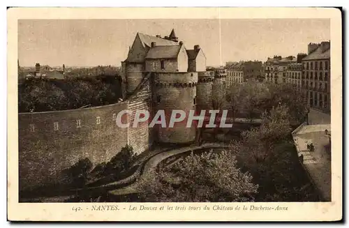 Cartes postales Nantes Les Douces et les trois du Chateau de la Duchesse Anne