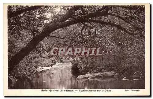 Cartes postales Saint Junien L Arbre penche sur la Glane