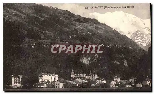 Cartes postales Le Fayet Les Hotels