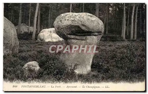 Cartes postales Fontainebleau La Foret Apremont le champignon