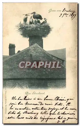 Ansichtskarte AK Gruss von Strasbourg Cigognes Carte de 1899