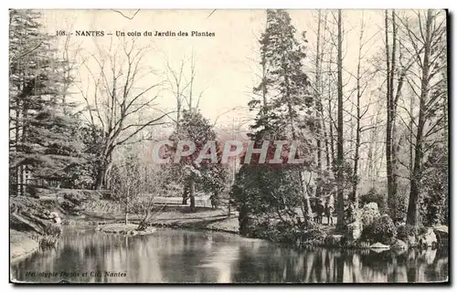 Cartes postales Nantes Un coin du Jardin des Plantes