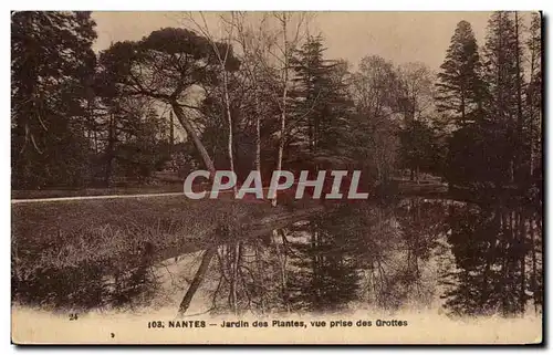 Ansichtskarte AK Nantes Jardin des Plantes Vue Prise des Grottes