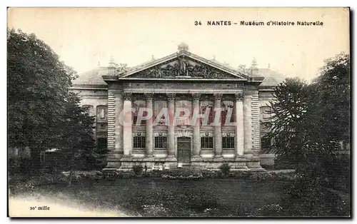 Cartes postales Nantes Museum d Histoire Naturelle