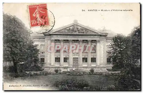 Cartes postales Nantes Museum d Histoire naturelle