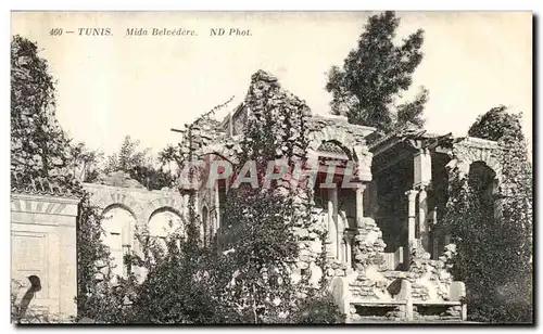 Cartes postales Tunisie Tunis Mida Belvedere