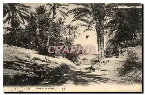 Cartes postales Tunisie Gabes Pont de la Cascade Ane Donkey