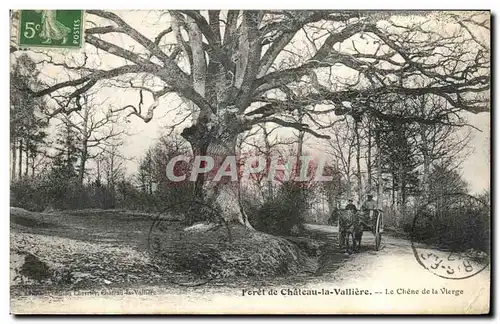 Ansichtskarte AK Foret de Chateau la Valliere Le Chene de la Vierge