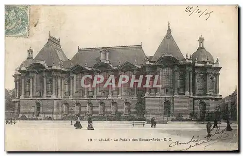 Cartes postales Lille Le Palais des Beaux Arts
