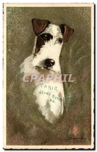 Cartes postales Chien Dog Takir