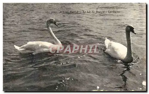 Ansichtskarte AK Aix les Bains Cygne Swan Le lac du Bourget