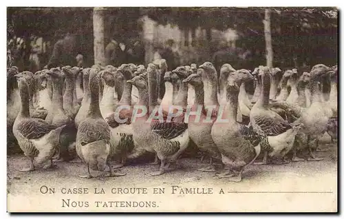 Cartes postales On Cassee La Croute en Famille A Nous T attendons Oies Canard Duck