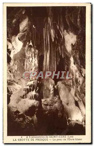 Cartes postales Saint Cere La Grotte De Presque La peau de l ourse blanc Bear