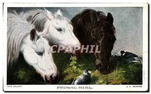 Cartes postales Tate Gallery Frugal Meal Cheval horse Herring