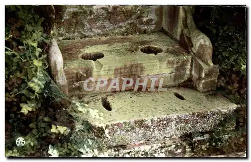 Cartes postales Timgad Les arenes