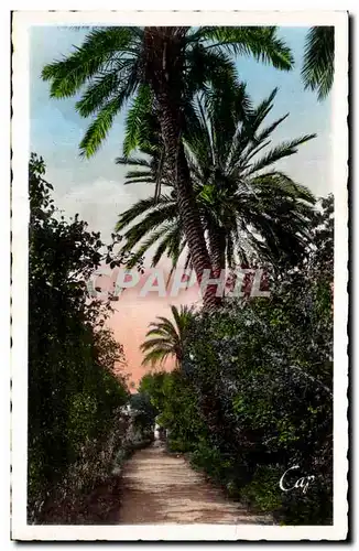 Cartes postales Blida Jardin Bizot des Roses