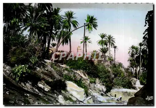 Cartes postales Bou Saada Cite du Bonheur Les Jardins