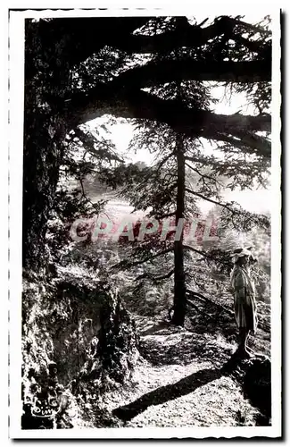 Cartes postales Chrea Vers le chemin Abel