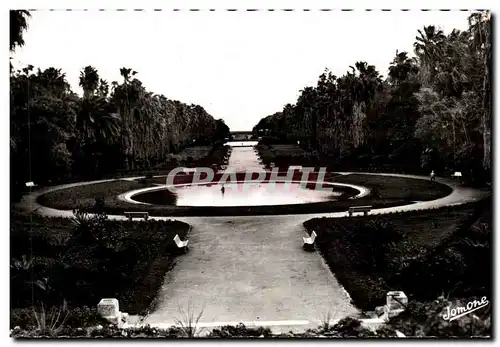 Cartes postales Alger jardin d Essai