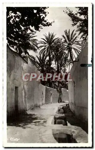 Cartes postales Laghouat Une rue de la Grande Segu