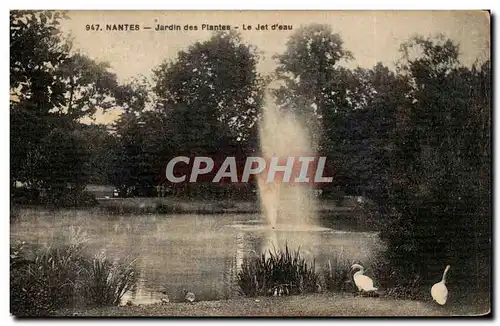 Cartes postales Nantes Jardin des Plantes Le Jet d eau Cygen Swan