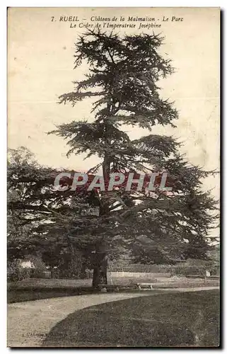 Cartes postales Rueil Chateau de la Malmaison Le Parc Le Cedre de l lmperatrice Josephine