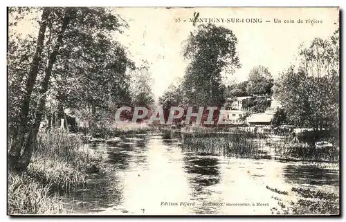 Cartes postales Montigny sur Loing Un coin de riviere