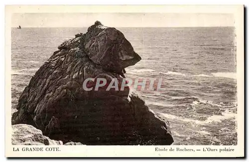 Cartes postales La Grande Cote Etude de Rochers L ours polaire Polar bear