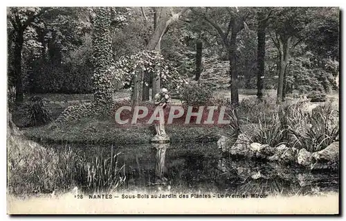 Cartes postales Nantes Sous Bols au Jardin des Plantes Le Premier Miroir