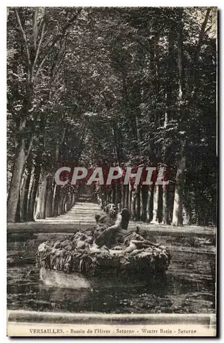 Cartes postales Versailles Bassin de l Hiver Statue