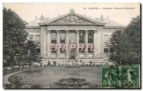 Cartes postales Nantes Museum d Histore Naturelle