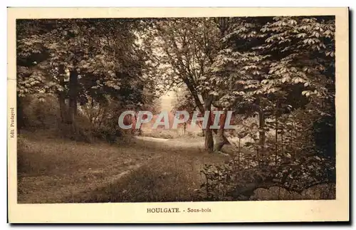 Cartes postales Houlgate Sous bois