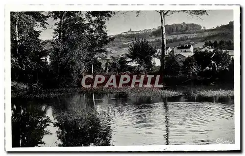 Cartes postales Lons le Sauner Un coin du parc La Piece d eau et vue sur Montaigu