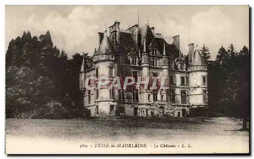 Cartes postales Tesse la Madeleine Le Chateau