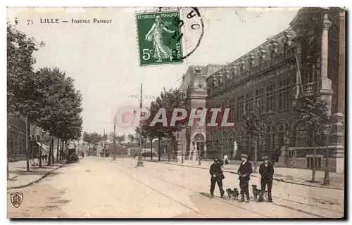 Cartes postales Lille Institut Pasteur Chiens