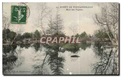 Cartes postales Foret De Fontainebleau Mare aux Pigeons