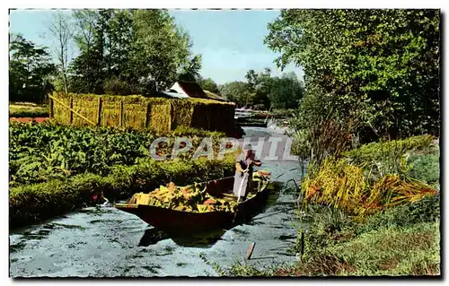 Cartes postales Amiens Somme Les Hortillonnages