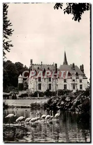 Ansichtskarte AK Parc Zoologique De Cleres Facade du Chateau et Flaments Roses Zoo