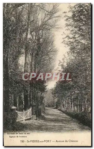 Cartes postales St Pierre en Port Avenue du Chateau