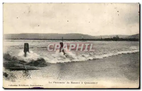 Cartes postales Le phenomene du Mascaret a Quillebeuf