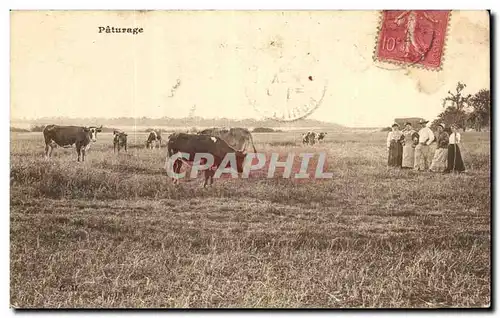 Cartes postales Paturage Vaches