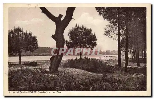 Cartes postales Mimizan la Foret Les Pins