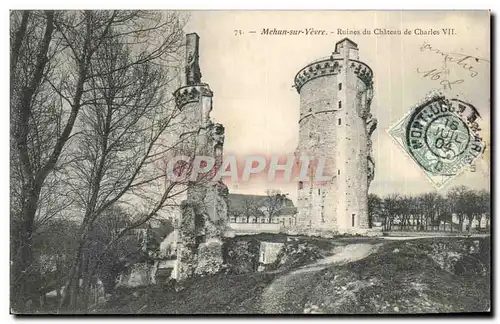 Cartes postales Mehun sur Vevre Ruines du chateau de Charles VII