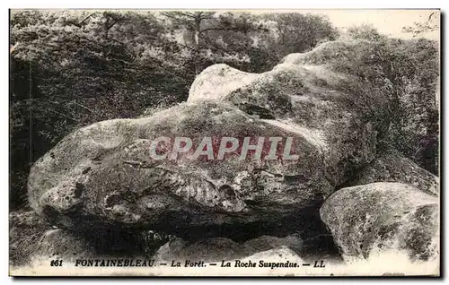 Cartes postales Fontainebleau La Foret La Roche Suspendue